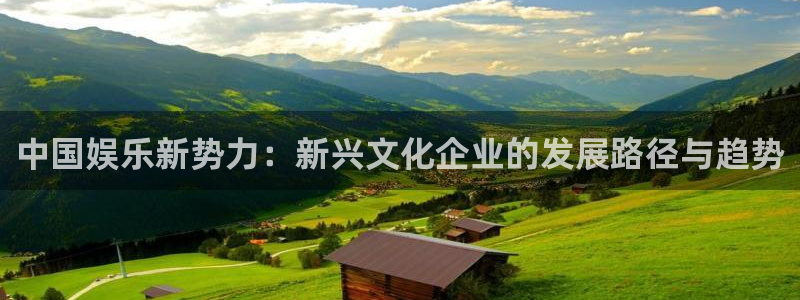众腾娱乐：中国娱乐新势力：新兴文化企业的发展路径与趋势