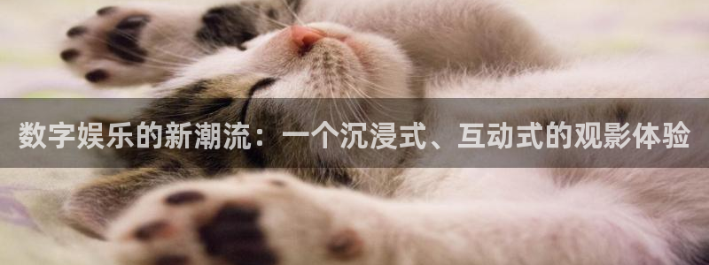 众腾娱乐：数字娱乐的新潮流：一个沉浸式、互动式的观影体验