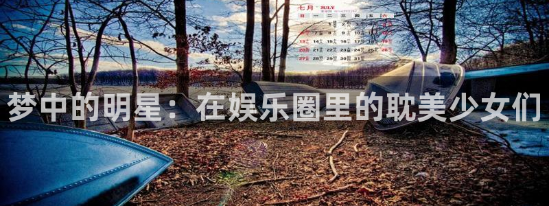 众腾娱乐：梦中的明星：在娱乐圈里的耽美少女们
