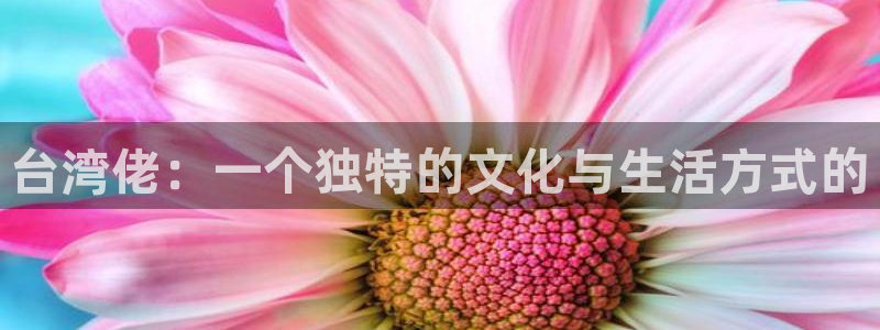 众腾娱乐：台湾佬：一个独特的文化与生活方式的