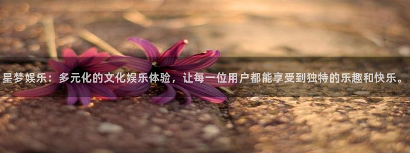 众腾娱乐：星梦娱乐：多元化的文化娱乐体验，让每一位用户都能享受到独特的乐趣和快乐。
