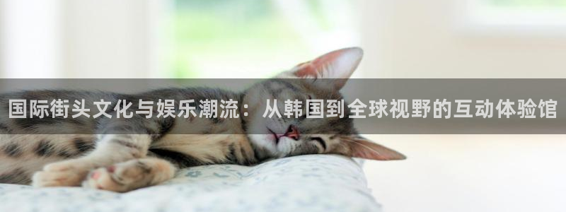 众腾娱乐：国际街头文化与娱乐潮流：从韩国到全球视野的互动体验馆