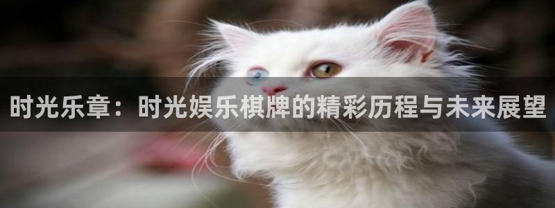 众腾娱乐：时光乐章：时光娱乐棋牌的精彩历程与未来展望