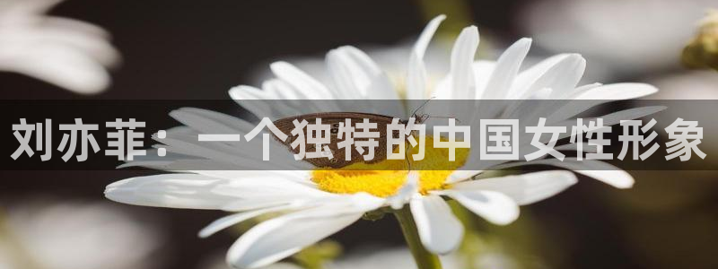 众腾娱乐：刘亦菲：一个独特的中国女性形象