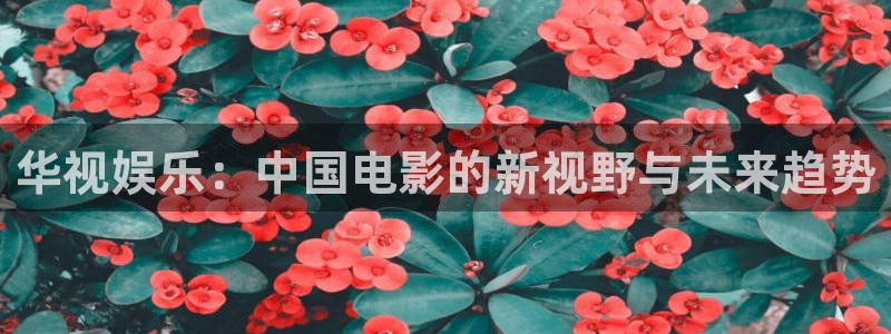 众腾娱乐：华视娱乐：中国电影的新视野与未来趋势