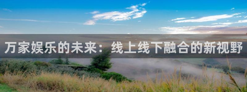 众腾娱乐：万家娱乐的未来：线上线下融合的新视野