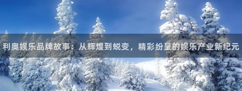 众腾娱乐：利奥娱乐品牌故事：从辉煌到蜕变，精彩纷呈的娱乐产业新纪元